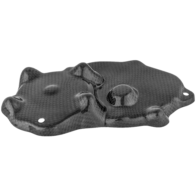 Pick-Upabdeckung Carbon LighTech Kawasaki ZX-6R/636/RR (09-25) CARK9518