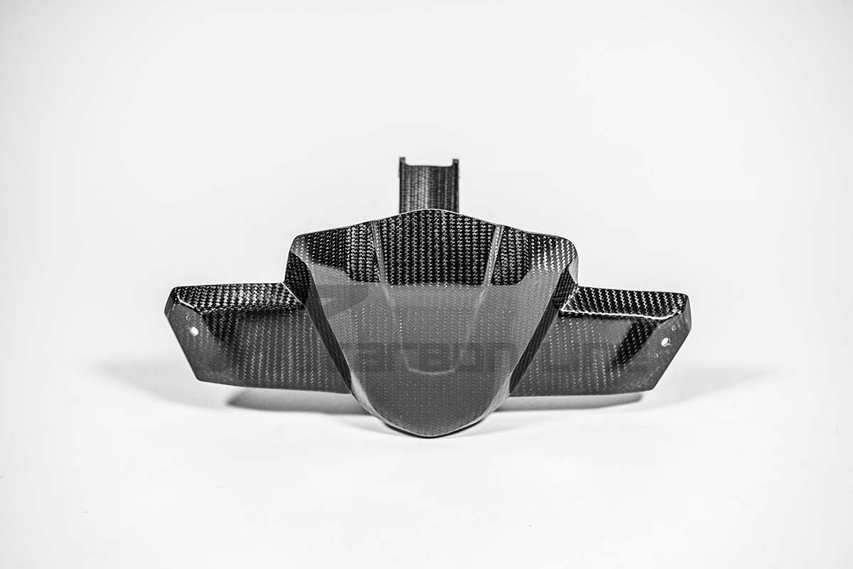 Instrumentenhalter 200g AP Carbon Line Aprilia RSV4/RR/1100 Factory (21-25)