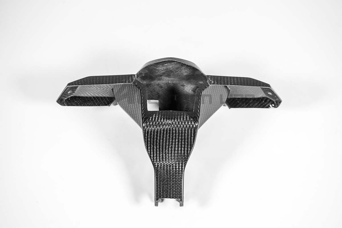 Instrumentenhalter 200g AP Carbon Line Aprilia RSV4/RR/1100 Factory (21-25)