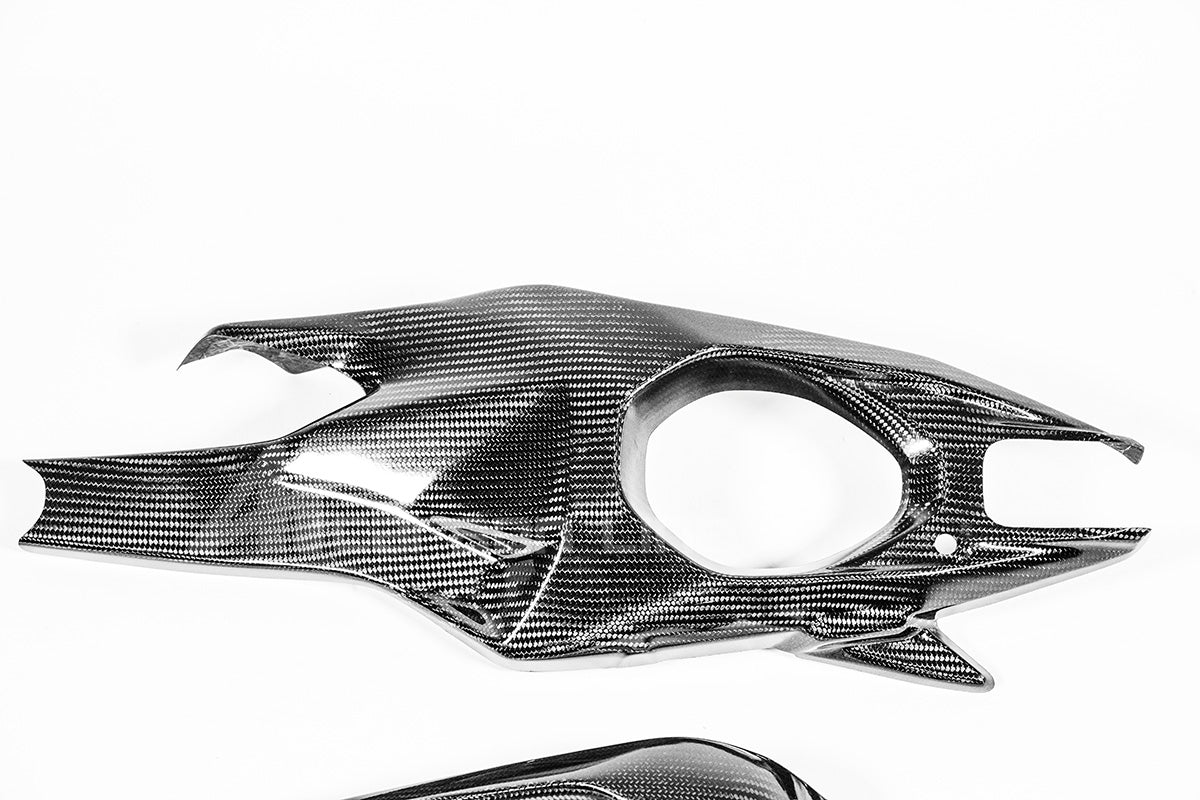 Schwingenabdeckungen 200g AP Carbon Line Ducati Panigale V4/S (2025)