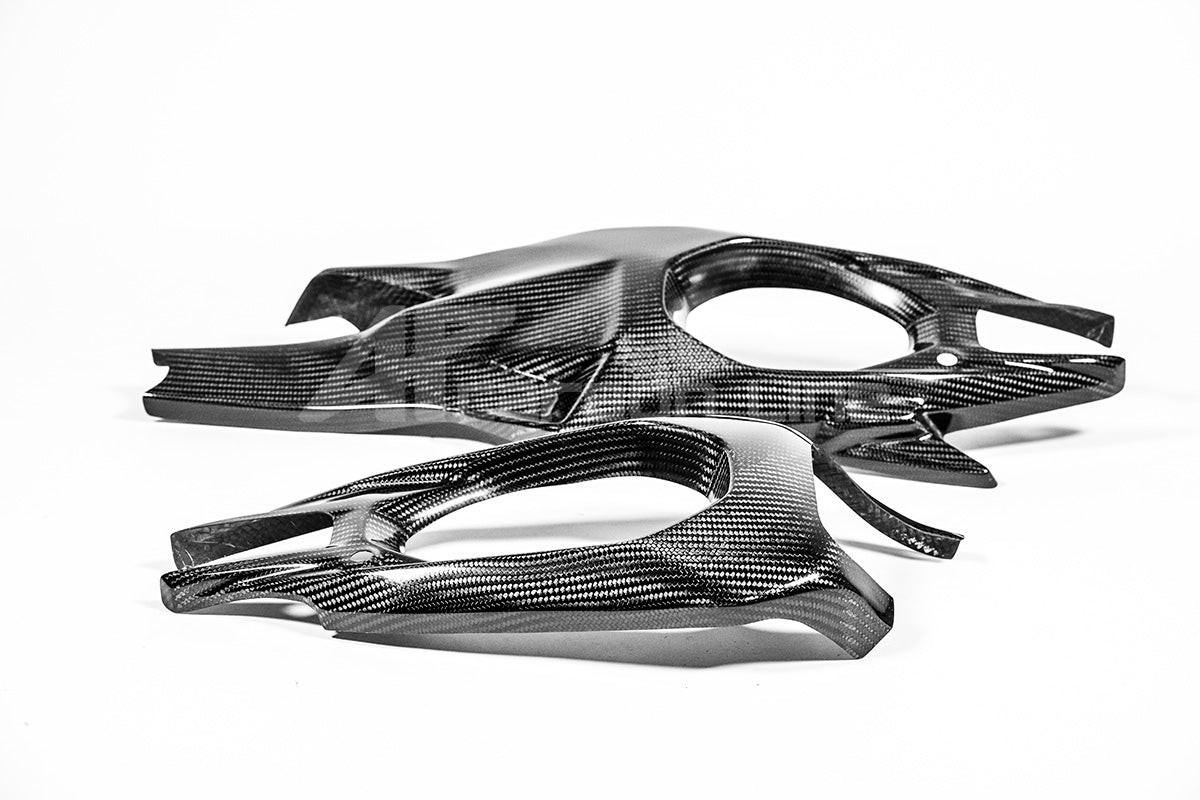 Schwingenabdeckungen 200g AP Carbon Line Ducati Panigale V4/S (2025)