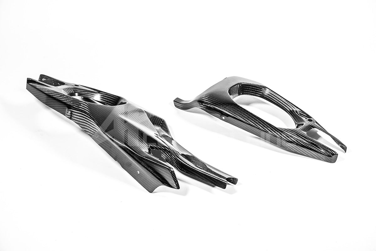 Schwingenabdeckungen 200g AP Carbon Line Ducati Panigale V4/S (2025)