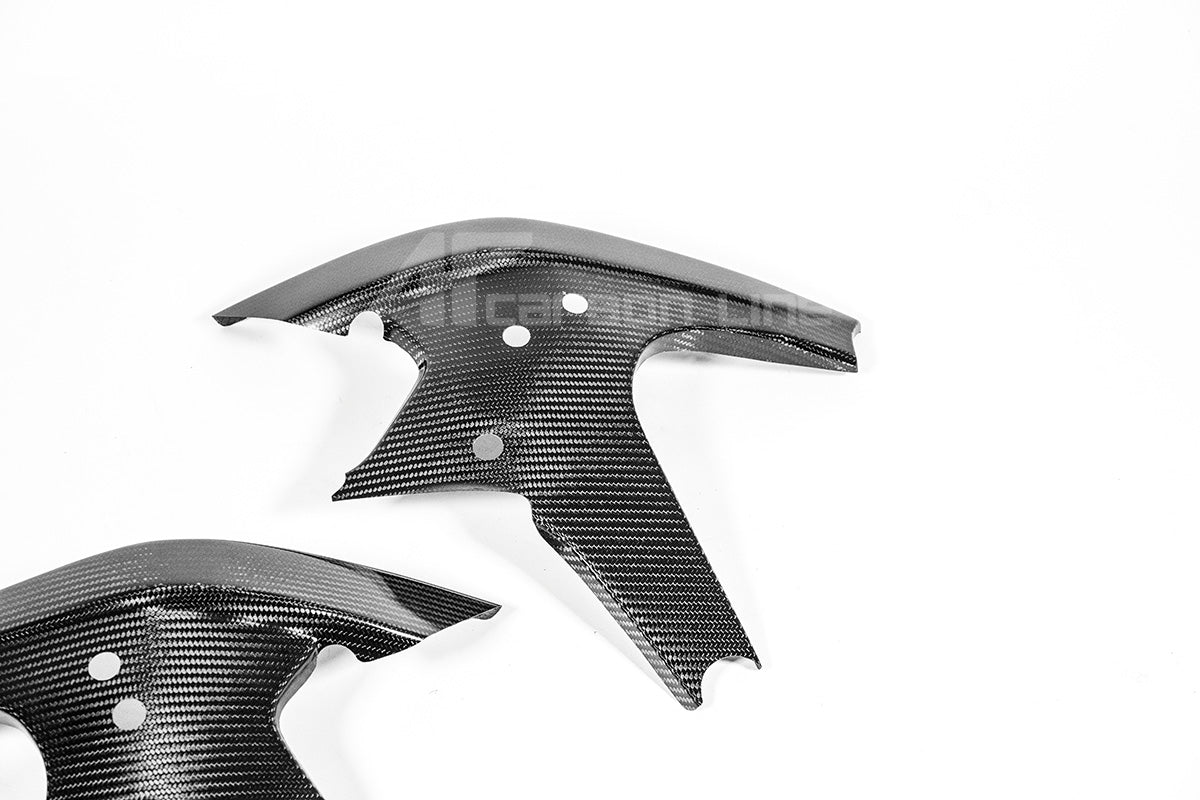 Rahmenabdeckungen 200g AP Carbon Line Ducati Panigale V4/S (2025)