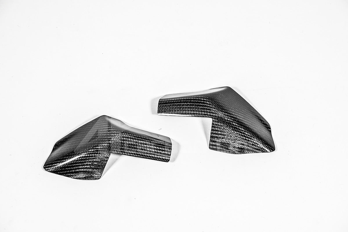 Tankschutz Protektoren 200g AP Carbon Line Ducati Panigale V4/S (2025)