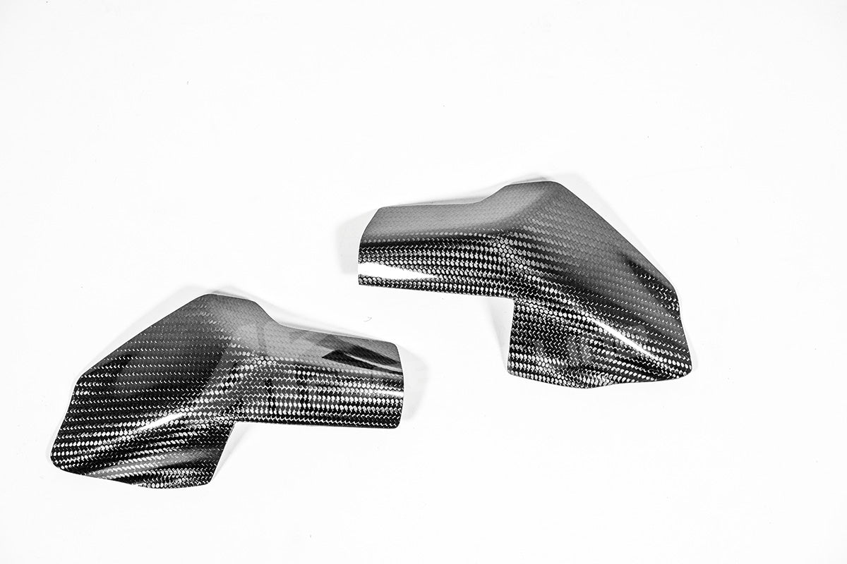 Tankschutz Protektoren 200g AP Carbon Line Ducati Panigale V4/S (2025)