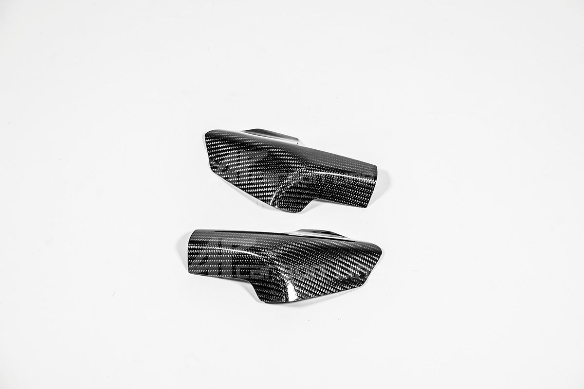 Tankschutz Protektoren 200g AP Carbon Line Ducati Panigale V4/S (2025)