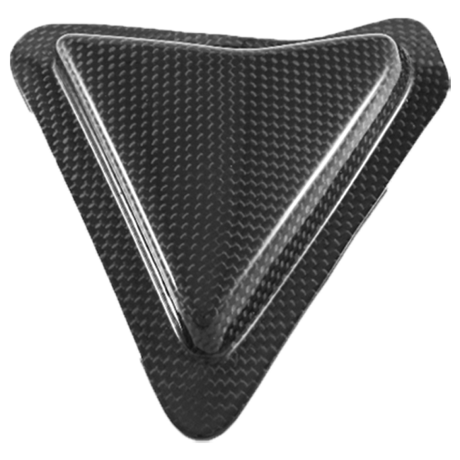 Slider Schwingenschutz Carbon Fullsix Ducati Panigale 1199/R/S (12-17)