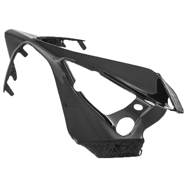 Heck Unterteil Carbon Fullsix Ducati Panigale 959 (16-19)