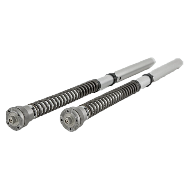 Öhlins NIX 30 Cartridge Kit FGK 224 Ducati Panigale 1299 (15-18)