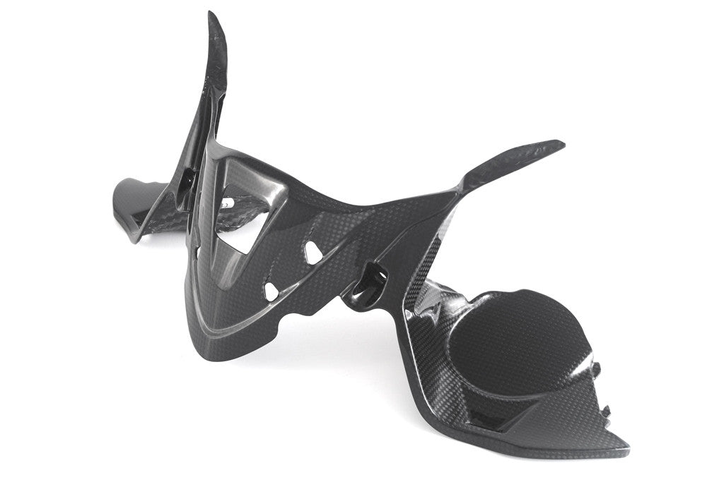 Instrumentenabdeckung Carbon Fullsix Ducati Panigale 959 (16-19)