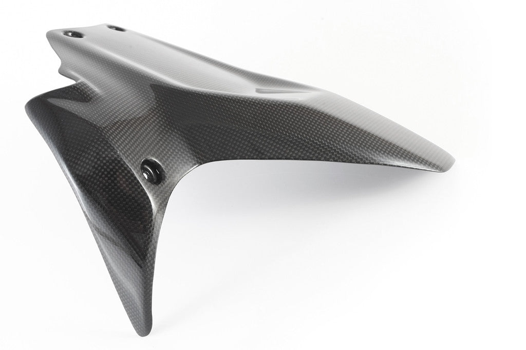 Hinterer Kotflügel Carbon Fullsix Ducati Panigale 1199/R/S (12-17)