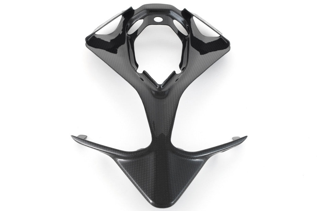 Heck Unterteil Carbon Fullsix Ducati Panigale 959 (16-19)