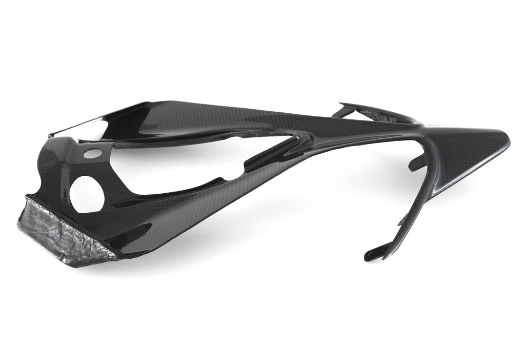 Heck Unterteil Carbon Fullsix Ducati Panigale 959 (16-19)