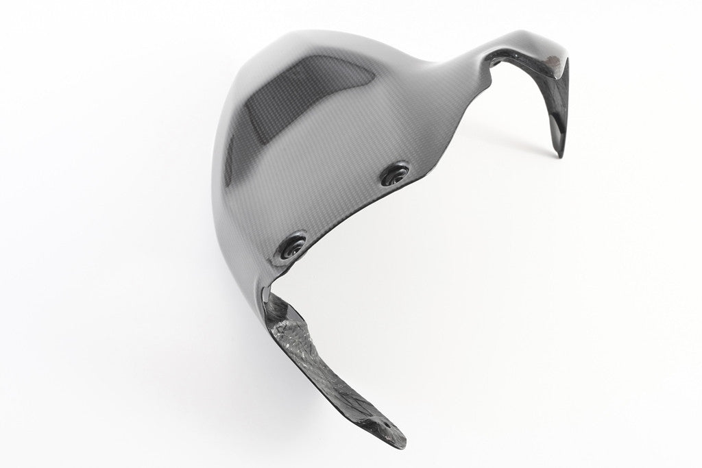 Hinterer Kotflügel Carbon Fullsix Ducati Panigale V2 955 (20-24)