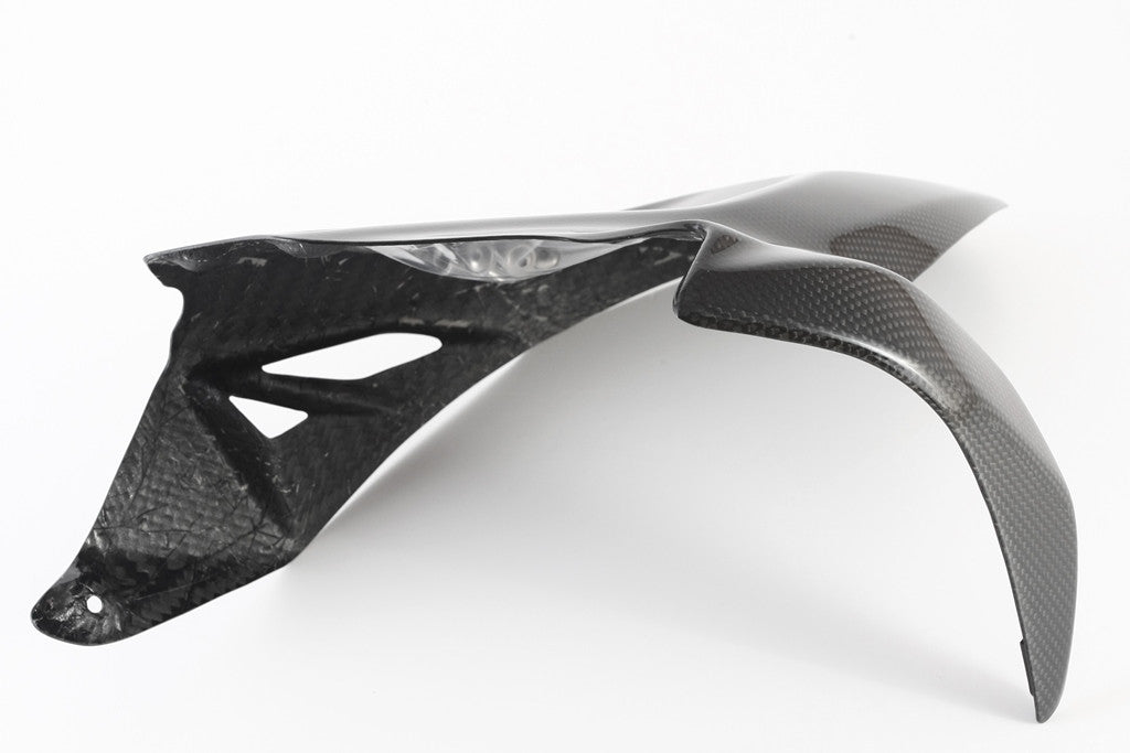 Hinterer Kotflügel Carbon Fullsix Ducati Panigale 1199/R/S (12-17)