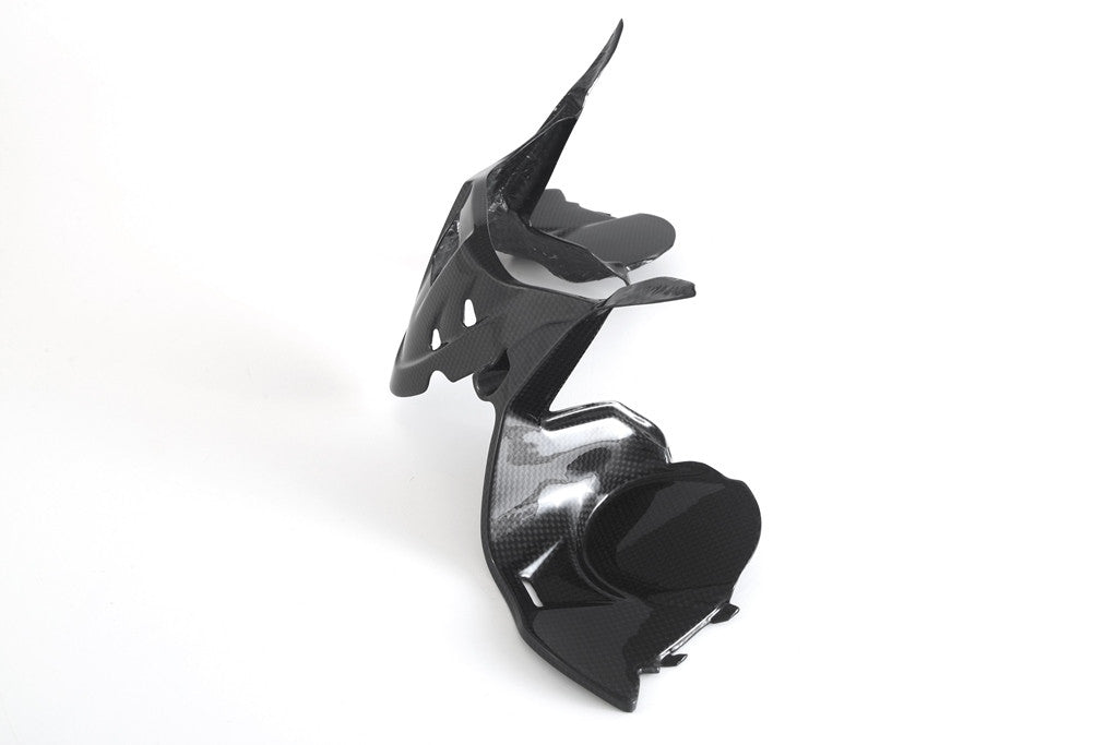 Instrumentenabdeckung Carbon Fullsix Ducati Panigale 959 (16-19)