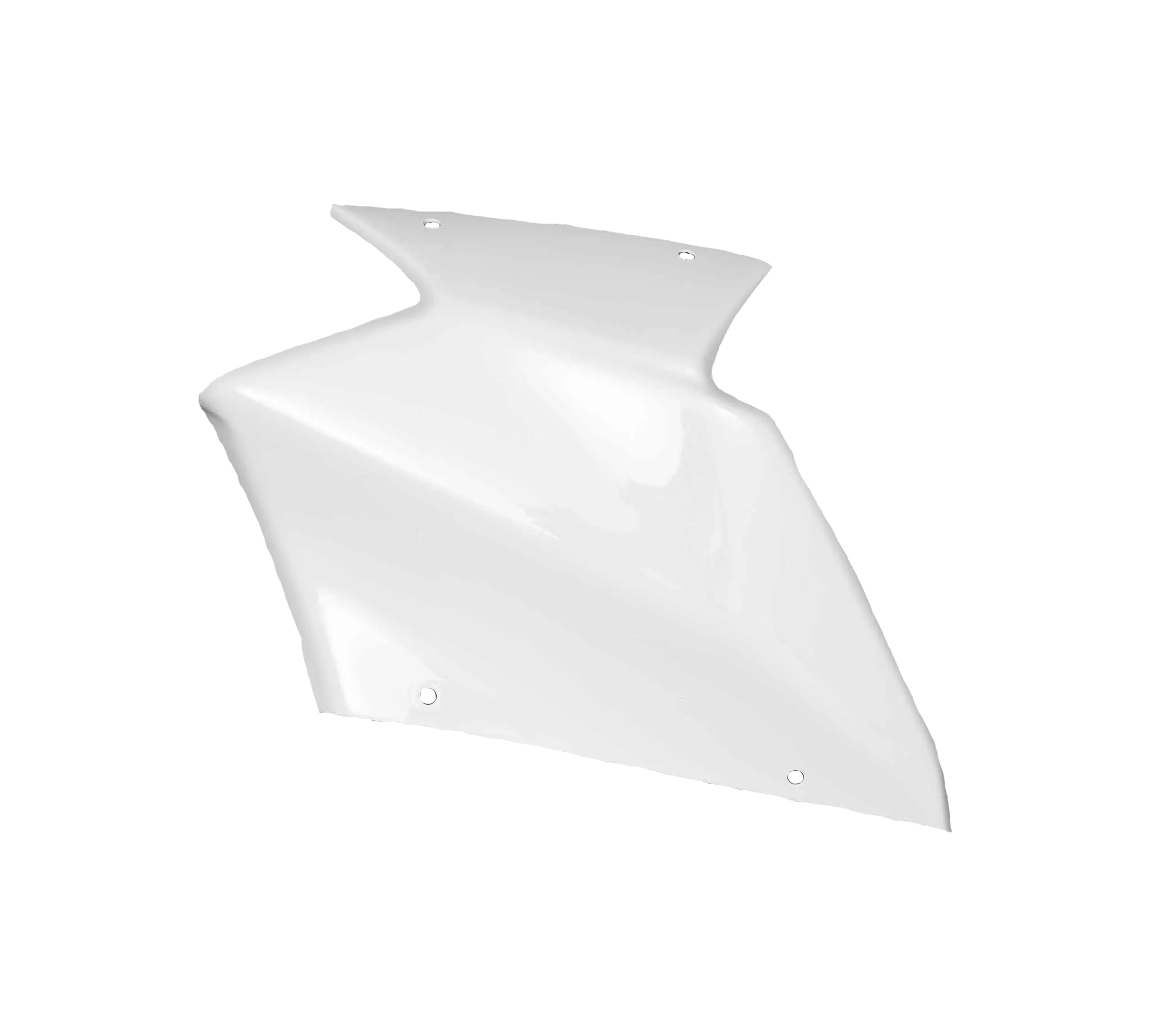 Komplettes Verkleidungsset Avio Fiber Kawasaki ZX-10 R/RR (21-25) Carbonin