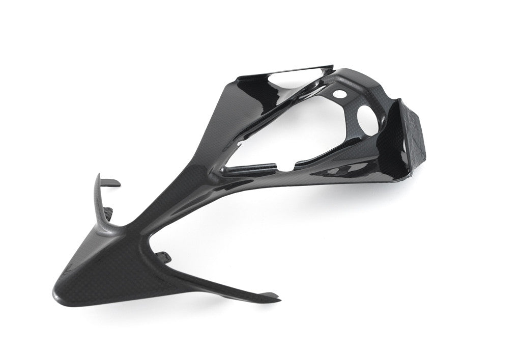 Heck Unterteil Carbon Fullsix Ducati Panigale 959 (16-19)