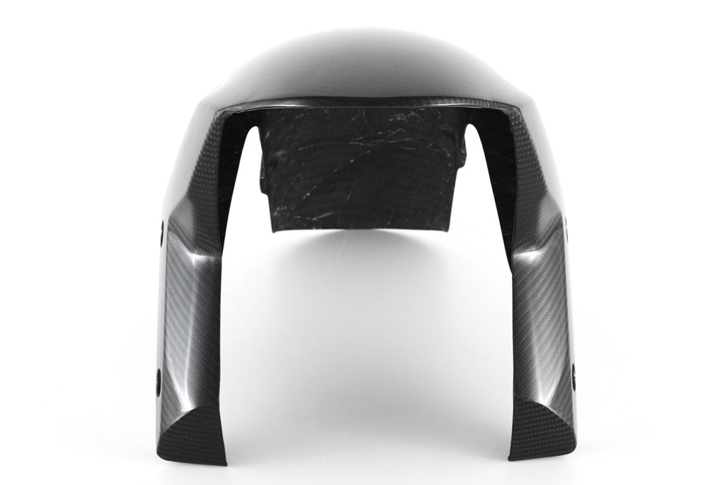 Vorderer Kotflügel Carbon Fullsix Kawasaki ZX-10 R (11-15)