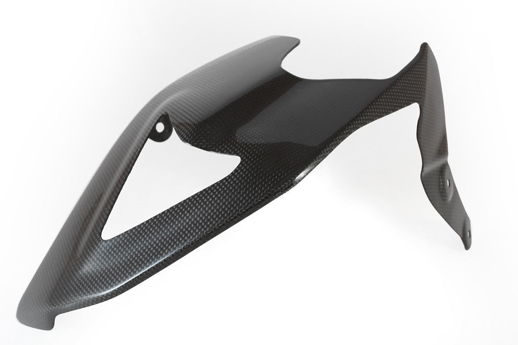 Schwingenabdeckung Carbon Fullsix Ducati Panigale V2 955 (20-24)