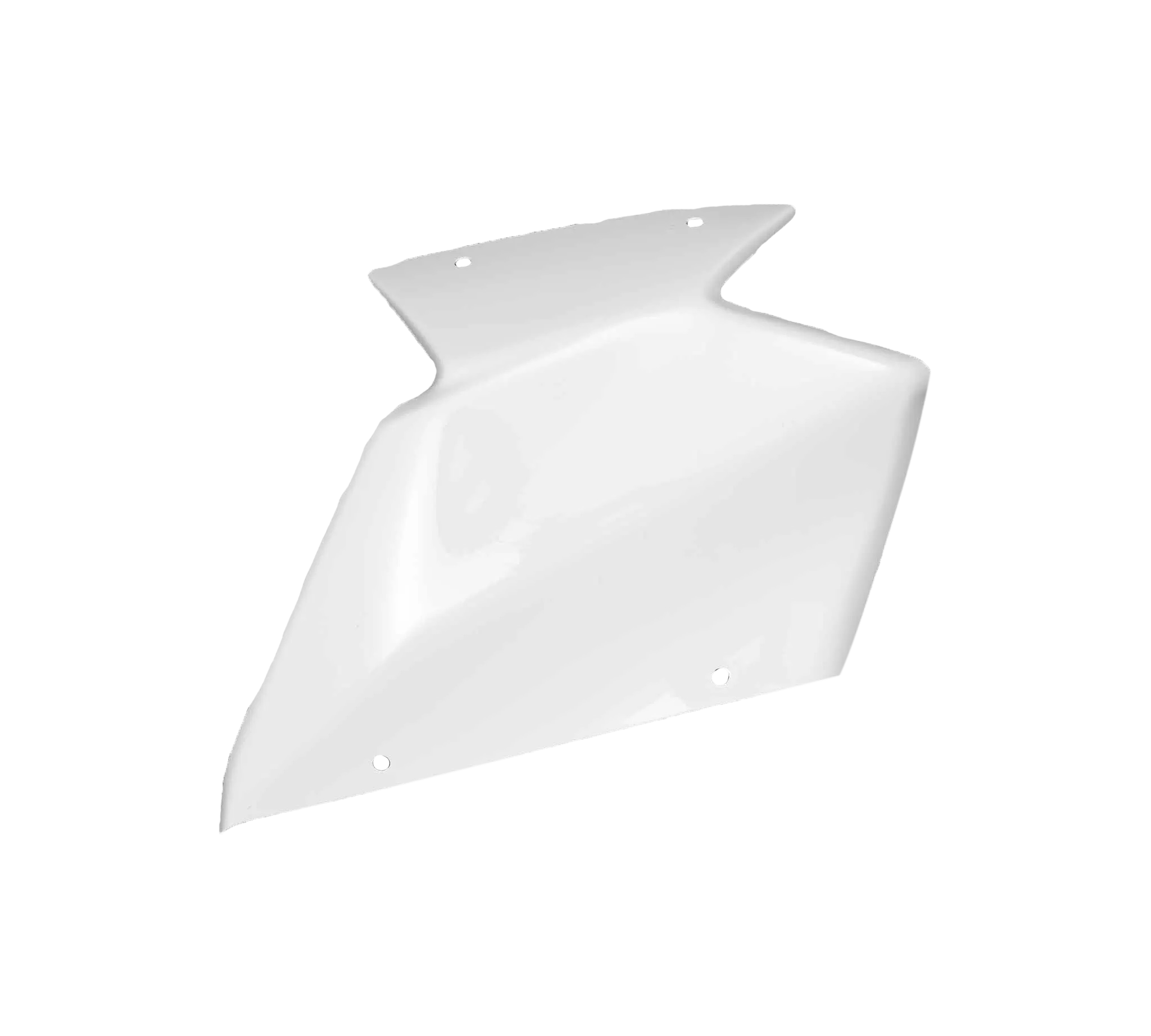 Komplettes Verkleidungsset Avio Fiber Kawasaki ZX-10 R/RR (21-25) Carbonin