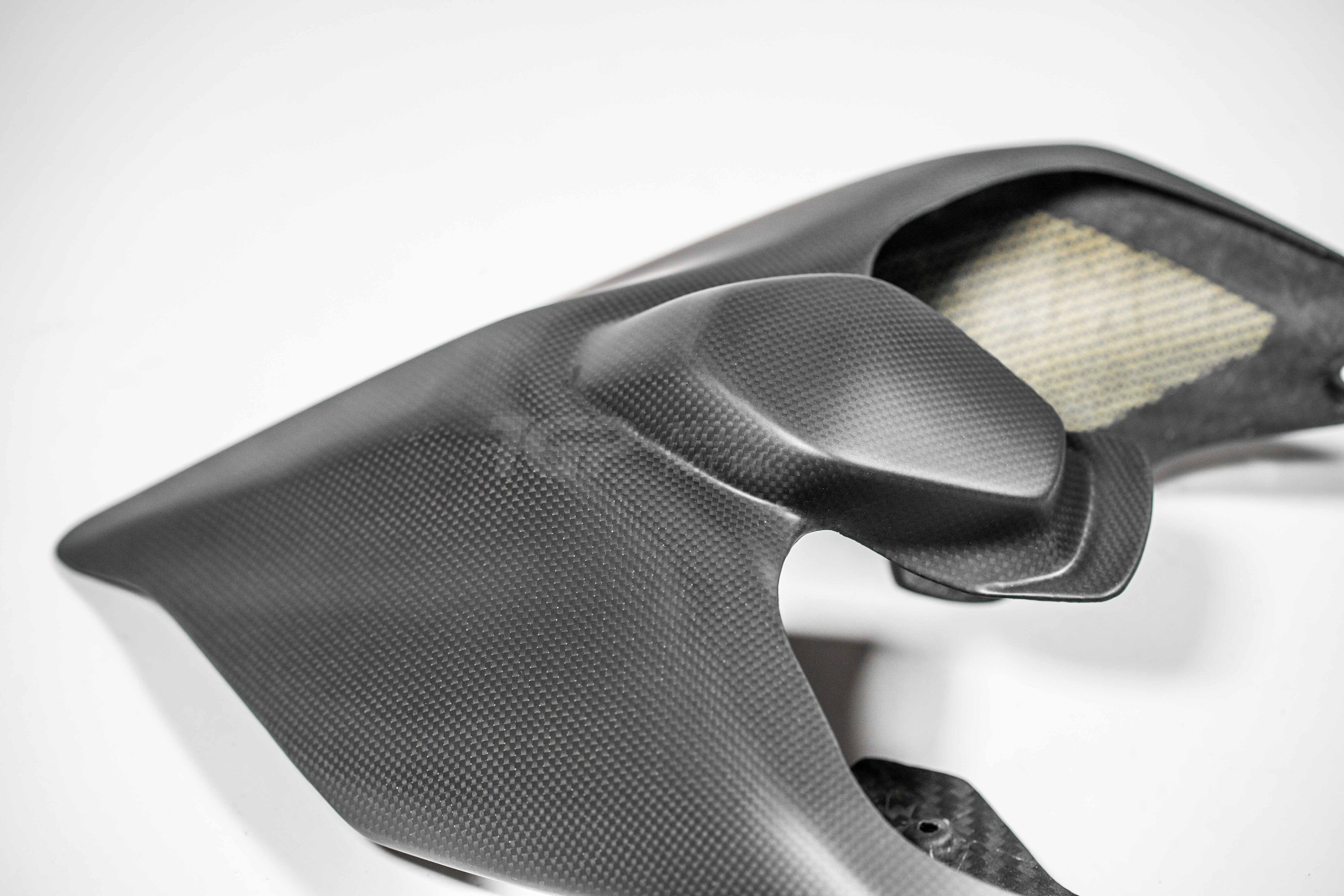 Heckverkleidung Carbon PlasticBike Ducati Panigale V2 955 (20-24)