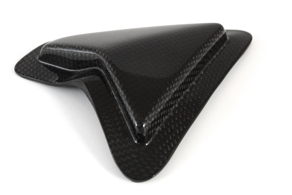 Slider Schwingenschutz Carbon Fullsix Ducati Panigale 1199/R/S (12-17)