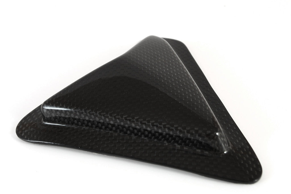 Slider Schwingenschutz Carbon Fullsix Ducati Panigale 1199/R/S (12-17)