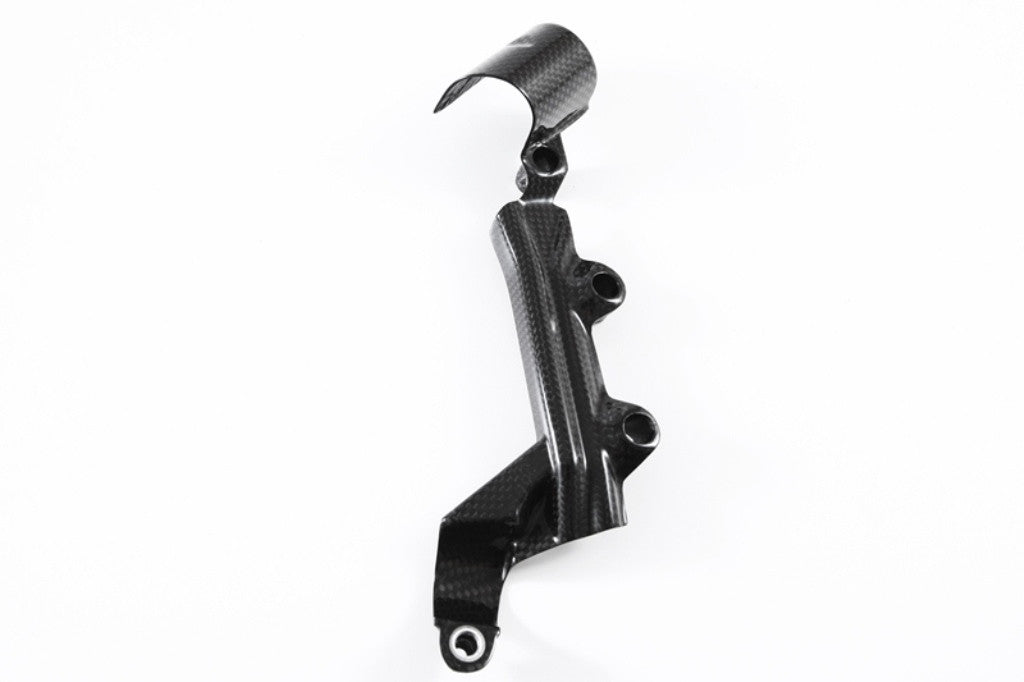 Bremszylinder Hinterrad Abdeckung Carbon Fullsix Ducati Panigale 899 (13-16)