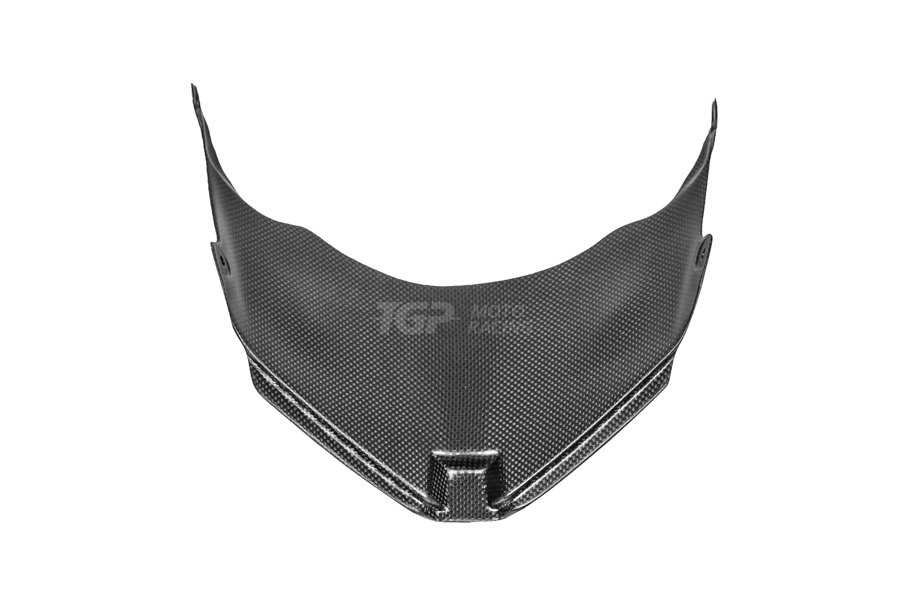 Front Verkleidungsset Carbon PlasticBike Ducati Panigale V2 955 (20-24)