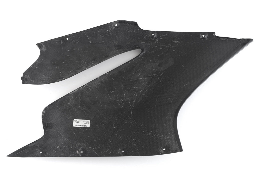 Seitenteil links Carbon Fullsix Ducati Panigale 959 (16-19)
