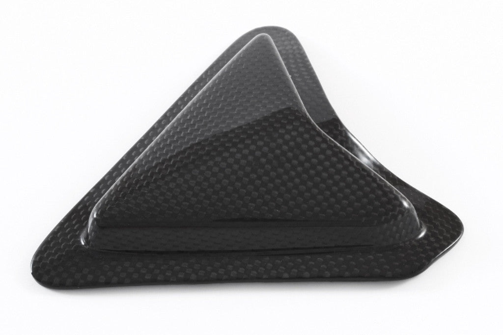 Slider Schwingenschutz Carbon Fullsix Ducati Panigale 1199/R/S (12-17)