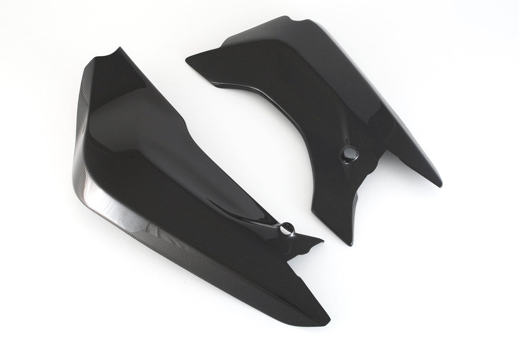 Schwingenabdeckung Carbon Fullsix Ducati Panigale 899 (13-16)