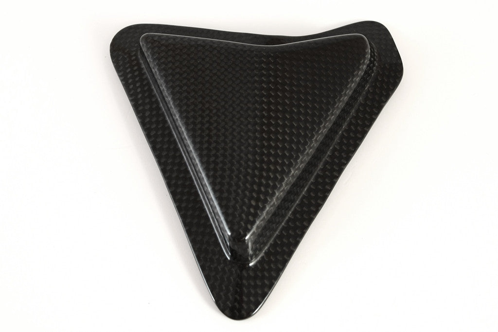 Slider Schwingenschutz Carbon Fullsix Ducati Panigale 1199/R/S (12-17)
